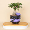 Versatile Decor Piece: Pottery Pot Vase for Luxury Interiors