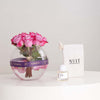 Nuit Warm Vanilla 50ml & Purple Roses Vase