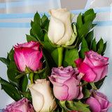 Sky Roses