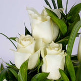Levai & Loris Bohemian Rhapsody Cap with White Roses Vase