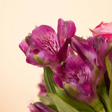 Purple & Pink Mixed Flowers Glass Vase