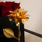 Romance II