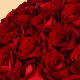 Flowrista | Grand Bouquet of 150 Red Roses