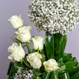Baby White
