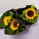 Flowrista | Sunflower Hand Bouquet