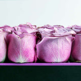 Box of Purple Roses