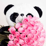 Panda Revival Love