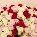 Flowrista | Bouquet of 150 White, Pink & Red Roses