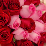 Flowrista | Red & Pink Roses Bouquet