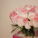 Patchi Premium Box (940g) & 15 Roses Gift