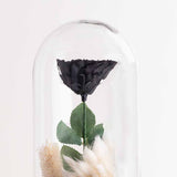 Black Eternity Rose