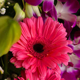 Patchi Senioreta Bloom Box