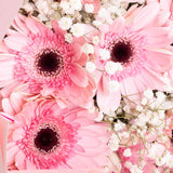 Luxury Pink Rose Bouquet