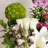 Bloom Sonata Box