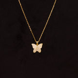 Markiz Butterfly Necklace & 15 Pink Roses Vase