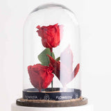 Double Red Eternity Rose