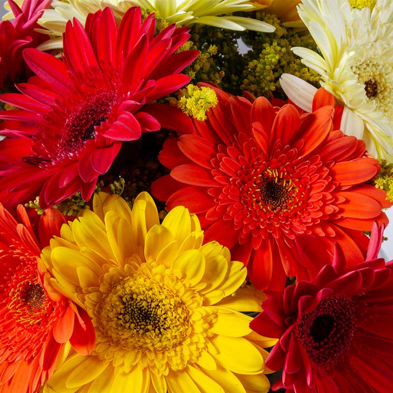 Gerbera Vase & Zara Home Candle Set