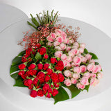 Pink & Red Baby Roses Bouquet