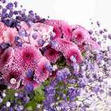 Lollipop Carnation Vase