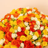 Flowrista Bouquet of 250 White, Orange & Yellow Roses