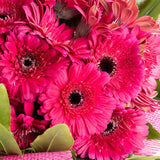 Fuchsia Gerbera Bouquet