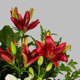 Just For You