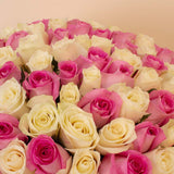 Flowrista | Grand Bouquet of 150 Pink & White Roses